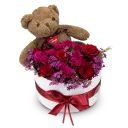 Brown Teddy